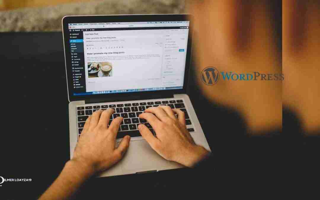 Cómo Personalizar y Cambiar el Pie de Página en WordPress