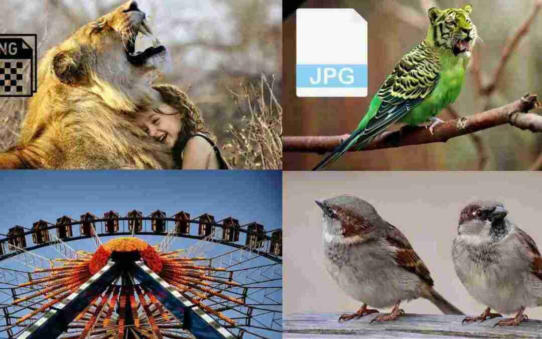 Herramientas para Comprimir Imágenes sin Perder Calidad